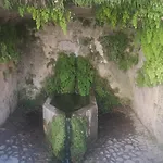 B&B La Maison Du Griffoul Bb A La Source Cascade Et Terroir Salles-la-Source
