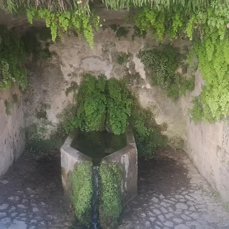 Bed & Breakfast La Maison Du Griffoul Bb A La Source Cascade Et Terroir Salles-la-Source