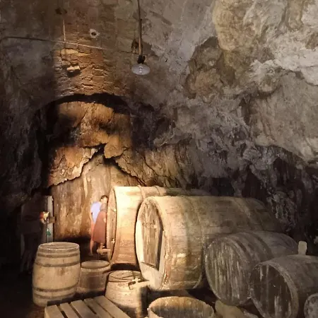 ベッド・アンド・ブレックファスト La Maison Du Griffoul Bb A La Source Cascade Et Terroir Salles-la-Source